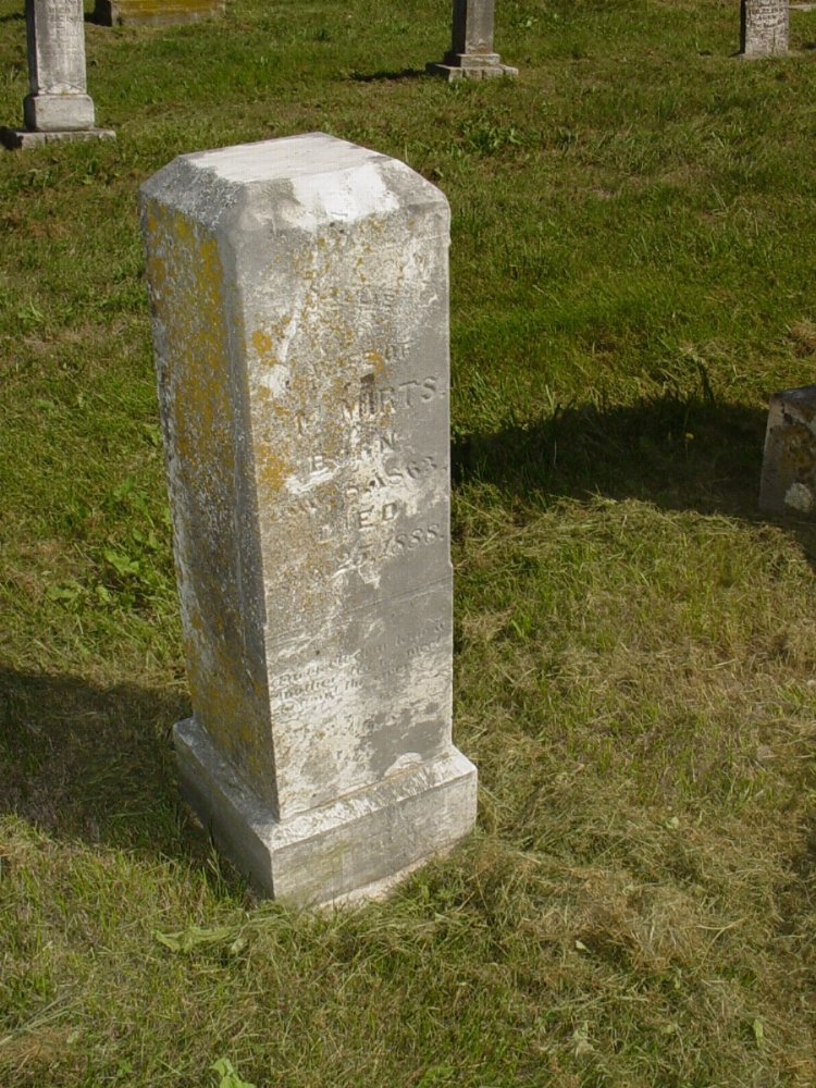  Sallie Day Mirts Headstone Photo, Mount Carmel Cemetery, Callaway County genealogy