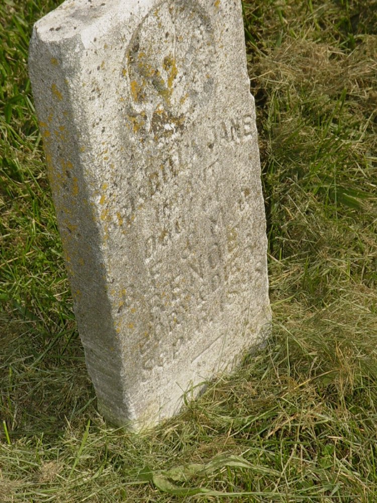  Priscella Jane Renoe Headstone Photo, Mount Carmel Cemetery, Callaway County genealogy