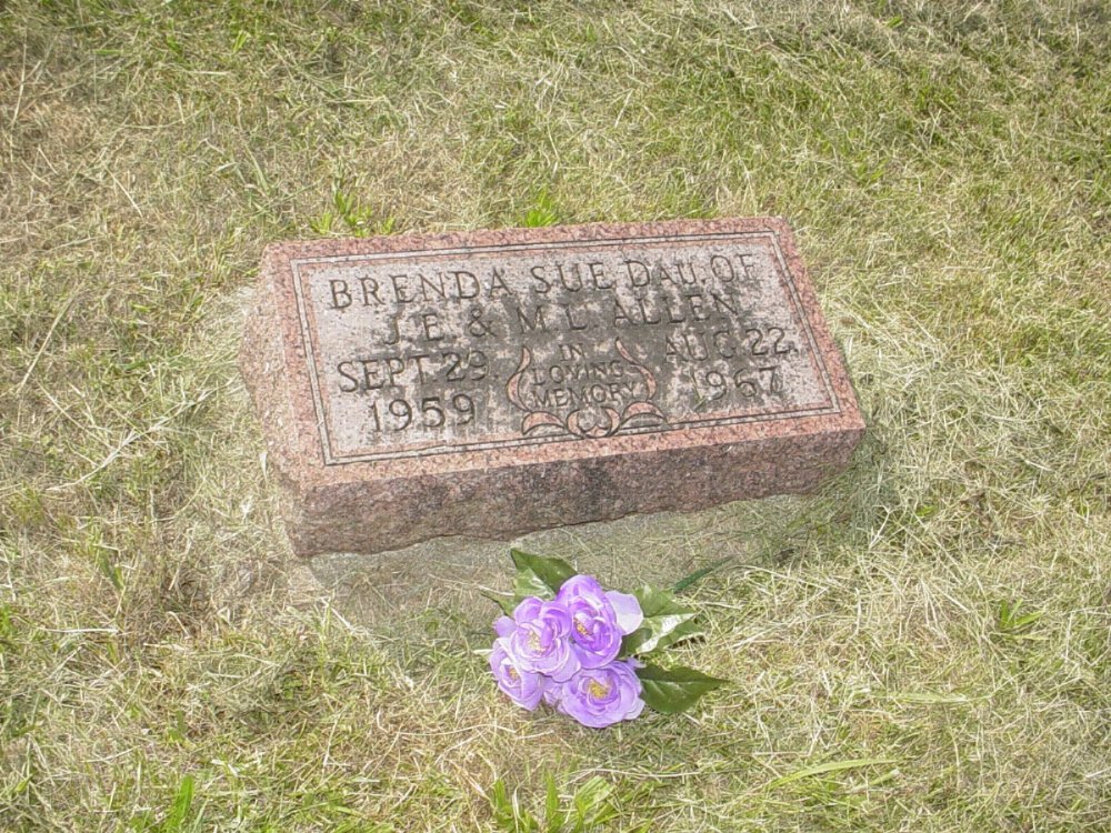  Brenda Sue Allen Headstone Photo, Mount Carmel Cemetery, Callaway County genealogy