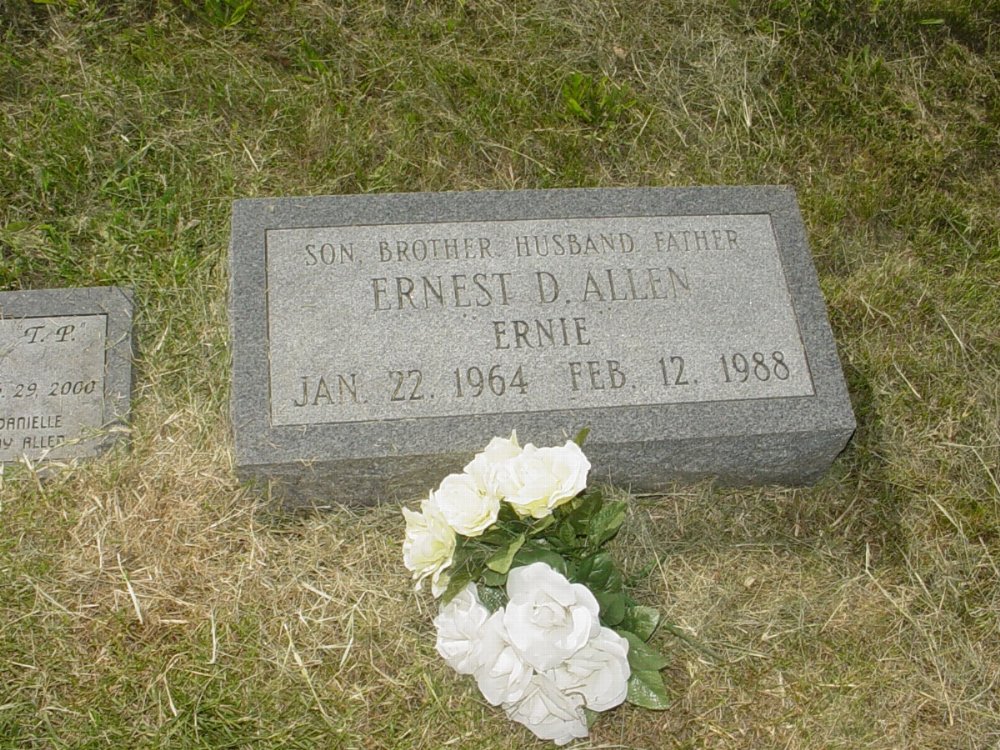  Ernest D. Allen Headstone Photo, Mount Carmel Cemetery, Callaway County genealogy