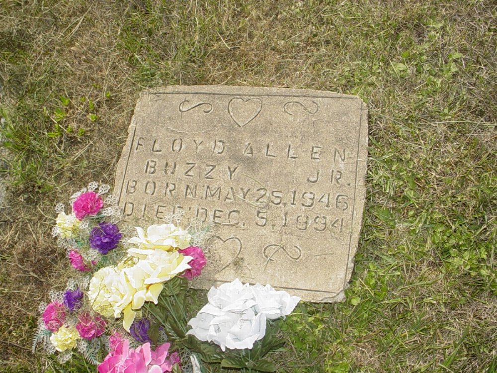  Floyd Allen Jr. Headstone Photo, Mount Carmel Cemetery, Callaway County genealogy