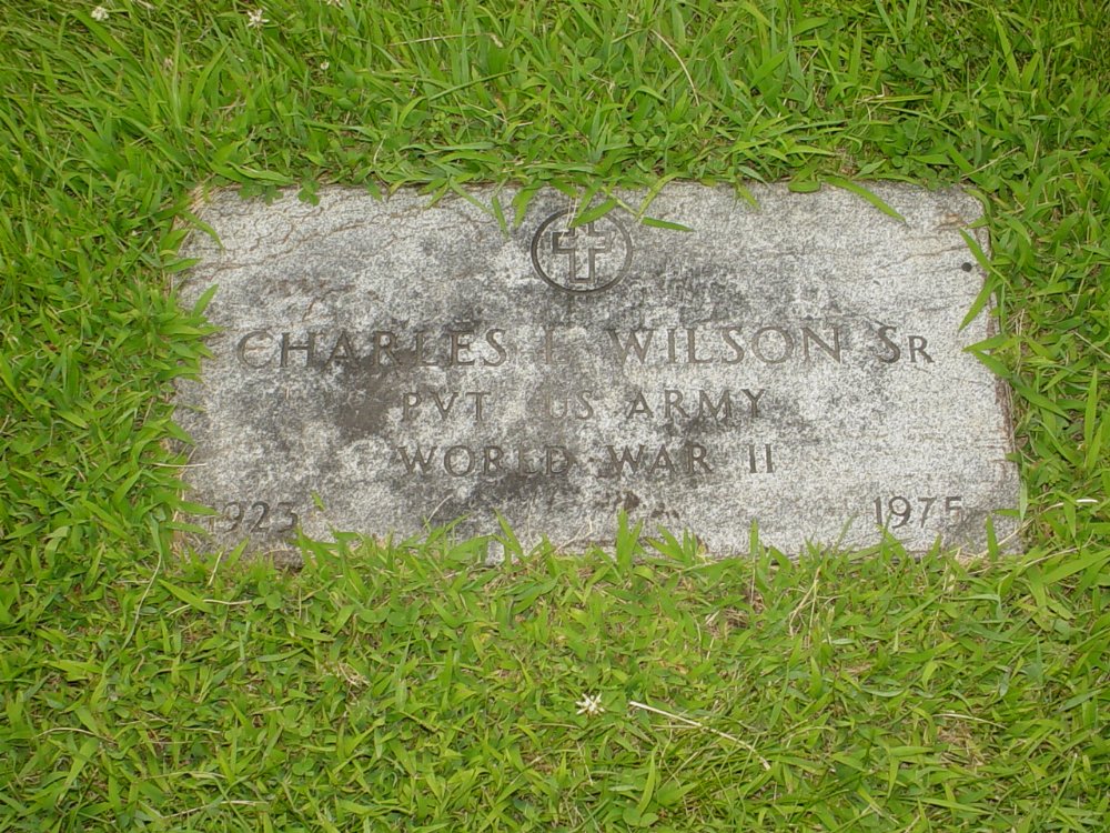  Charles Wilson Sr. Headstone Photo, New Bloomfield Cemetery, Callaway County genealogy