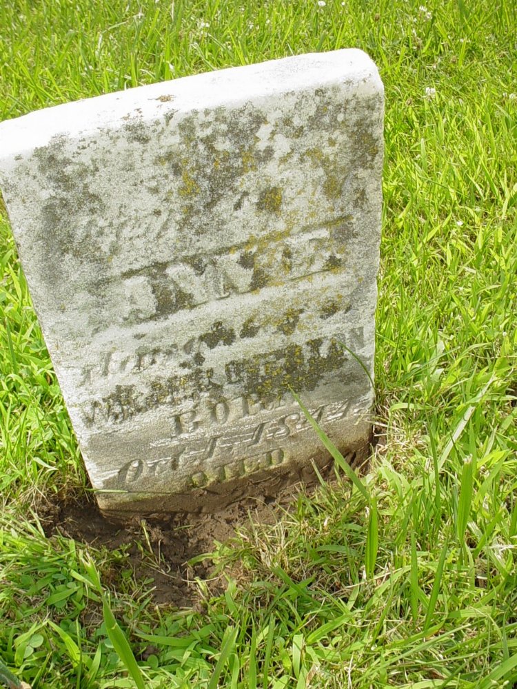  Ann Eliza Overton Headstone Photo, New Bloomfield Cemetery, Callaway County genealogy