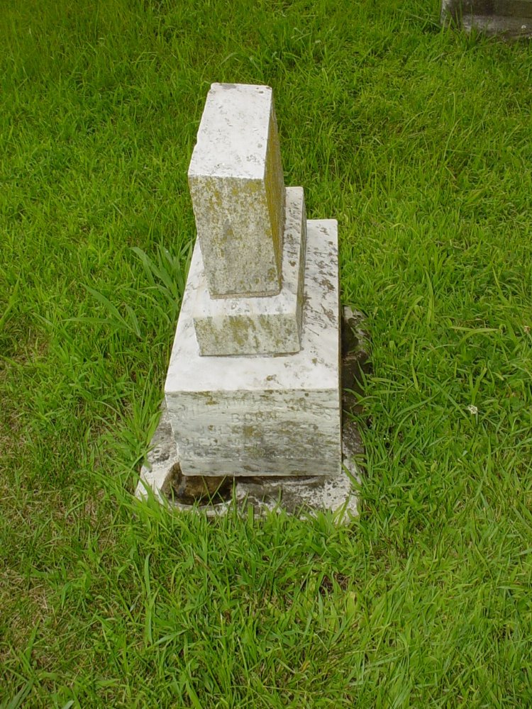  William H. Lynes Headstone Photo, New Bloomfield Cemetery, Callaway County genealogy