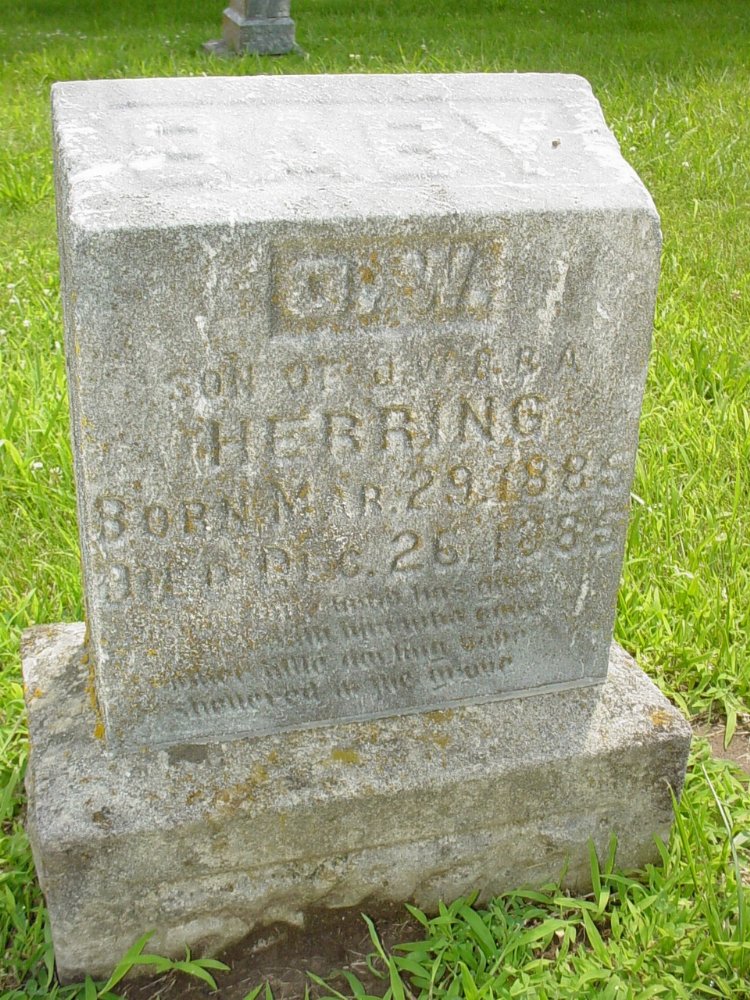  Everett O.W. Herring Headstone Photo, New Bloomfield Cemetery, Callaway County genealogy