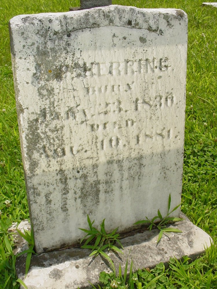  Amanda J. Knight Herring Headstone Photo, New Bloomfield Cemetery, Callaway County genealogy