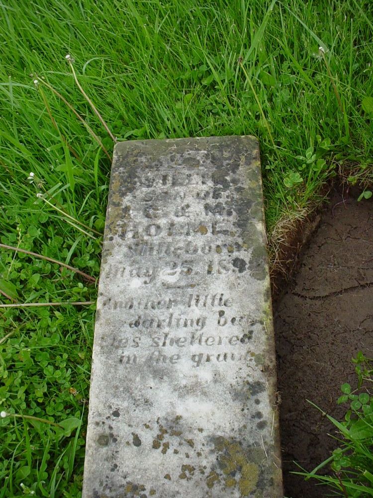  Willis Holmes Headstone Photo, Otterbein United Brethren Methodist Cemetery, Callaway County genealogy