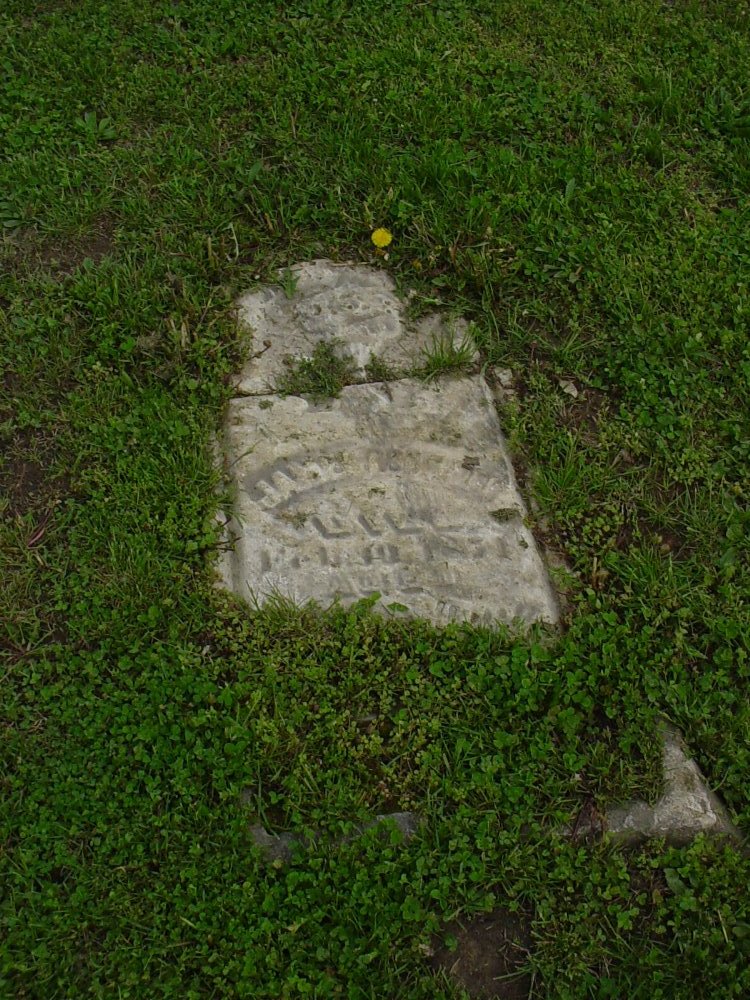  James Robnett Headstone Photo, Pioneer Cemetery, Callaway County genealogy