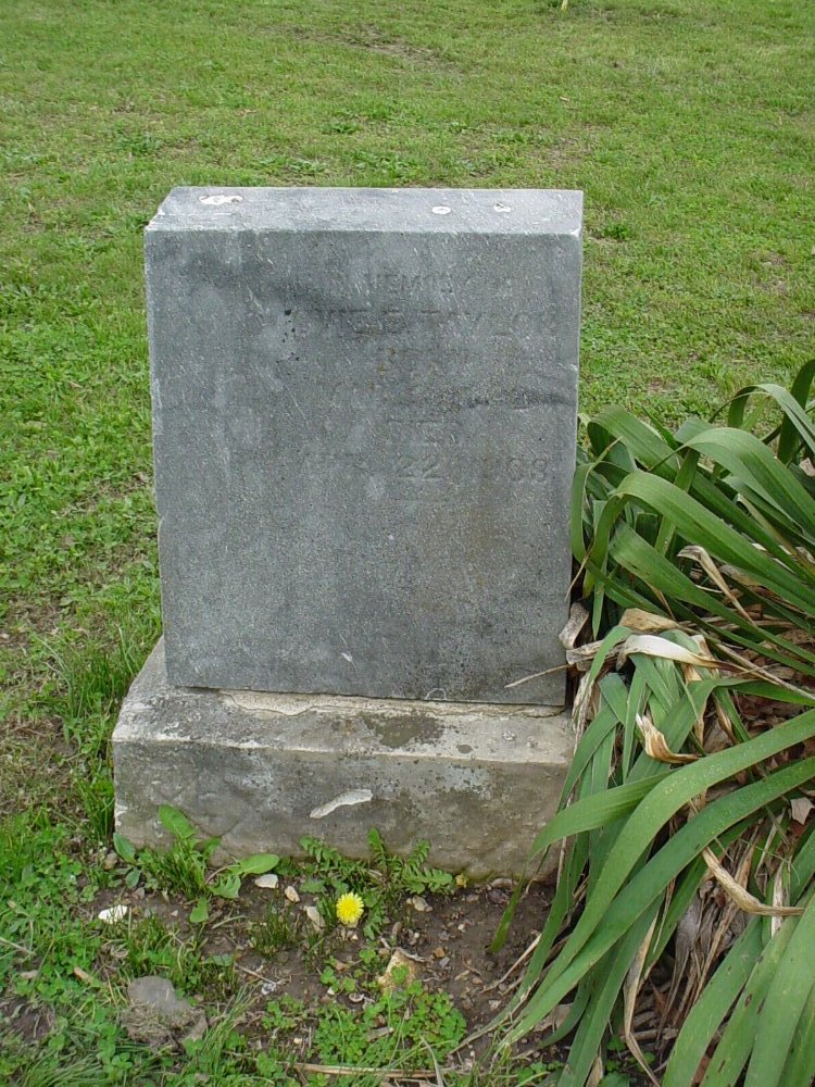  Ovie E. Taylor Headstone Photo, Pioneer Cemetery, Callaway County genealogy
