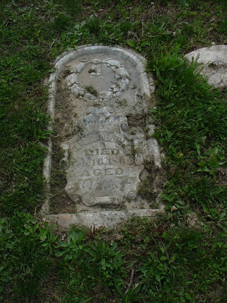  Dr. Dudley H. Overton Headstone Photo, Pioneer Cemetery, Callaway County genealogy