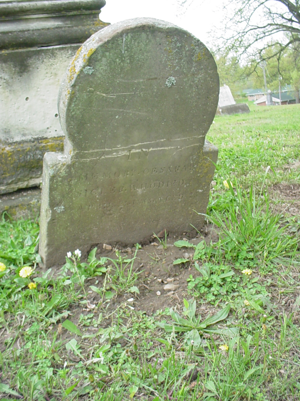  Sarah Nalley Sigler Headstone Photo, Pioneer Cemetery, Callaway County genealogy