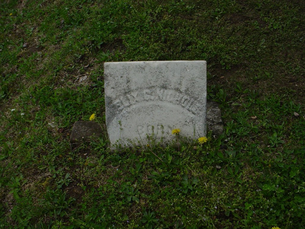  Felix G. Nichols Headstone Photo, Pioneer Cemetery, Callaway County genealogy