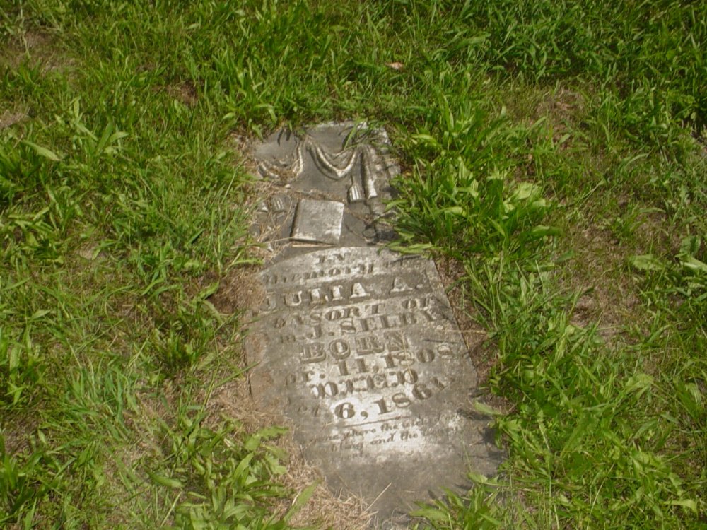  Julia A. Turley Selby Headstone Photo, Prairie Chapel Cemetery, Callaway County genealogy