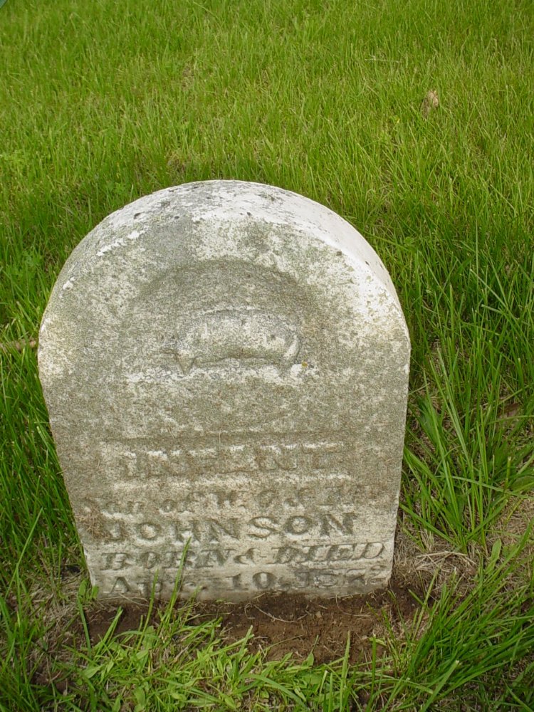  Infant Johnson 1872 Headstone Photo, Sunrise Christian Cemetery, Callaway County genealogy