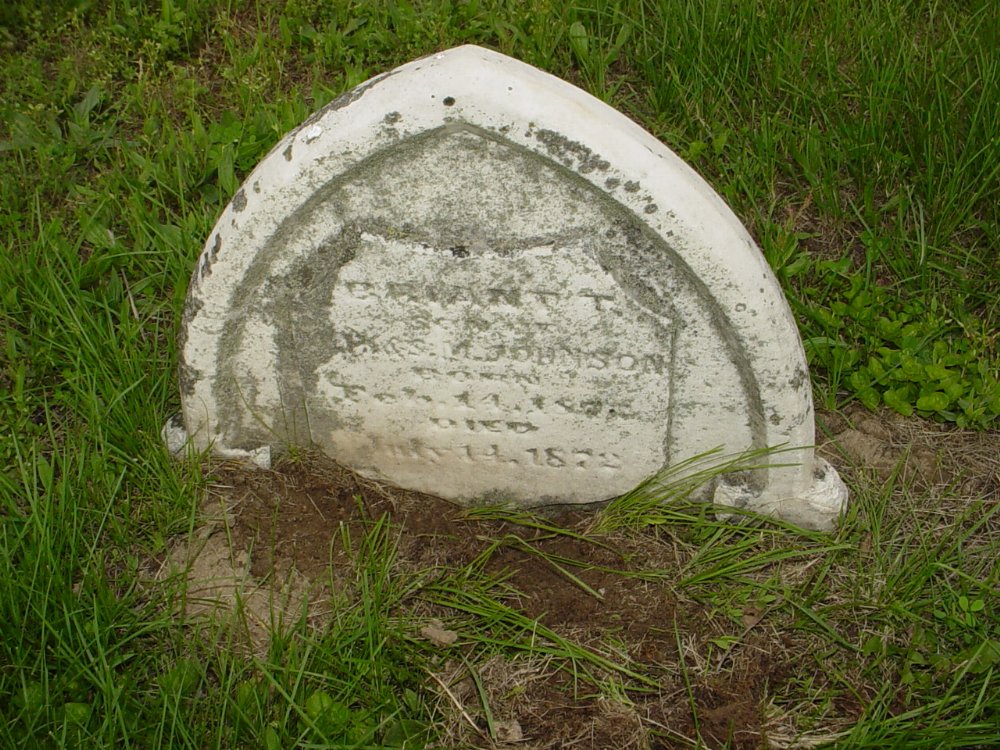  Bryant T. Johnson Headstone Photo, Sunrise Christian Cemetery, Callaway County genealogy