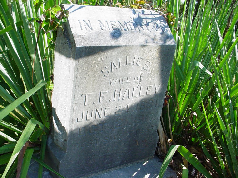  Sallie Mattox Halley Headstone Photo, Unity Baptist Church Cemetery, Callaway County genealogy