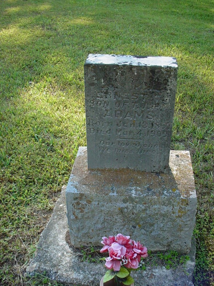  Ernest Adams Headstone Photo, Unity Baptist Church Cemetery, Callaway County genealogy
