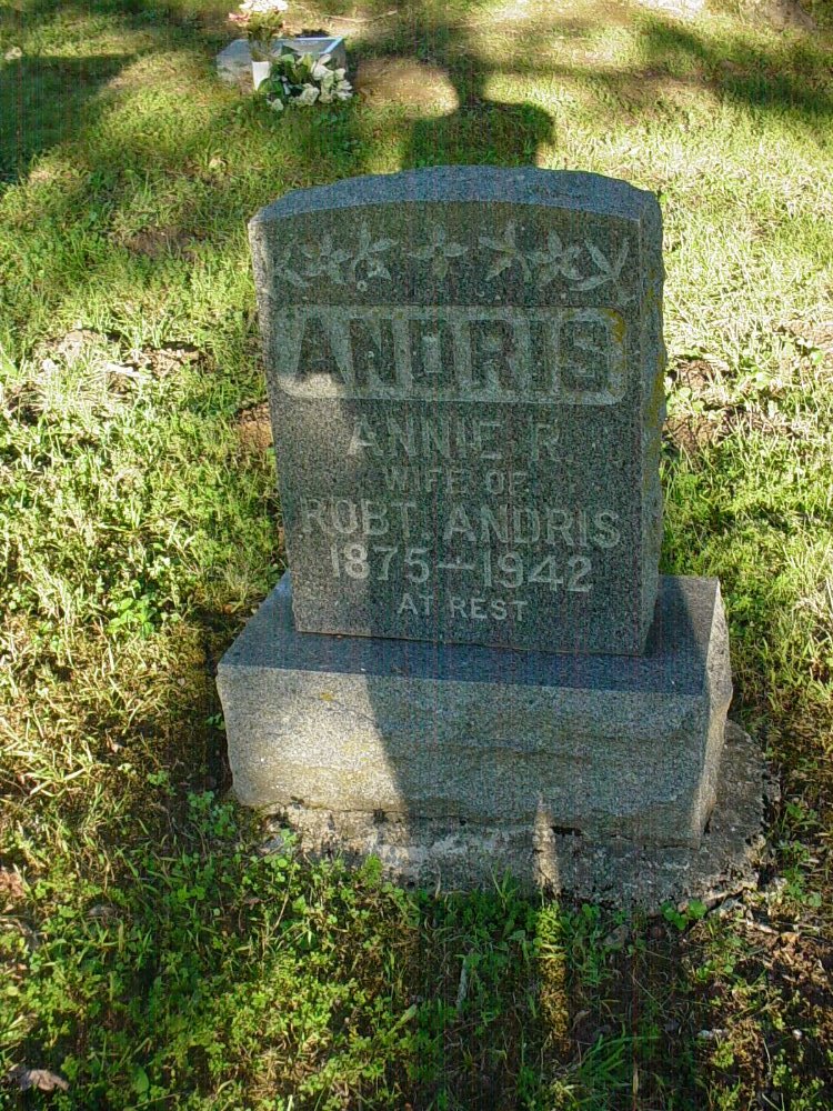  Annie Raps Andris Headstone Photo, Unity Baptist Church Cemetery, Callaway County genealogy