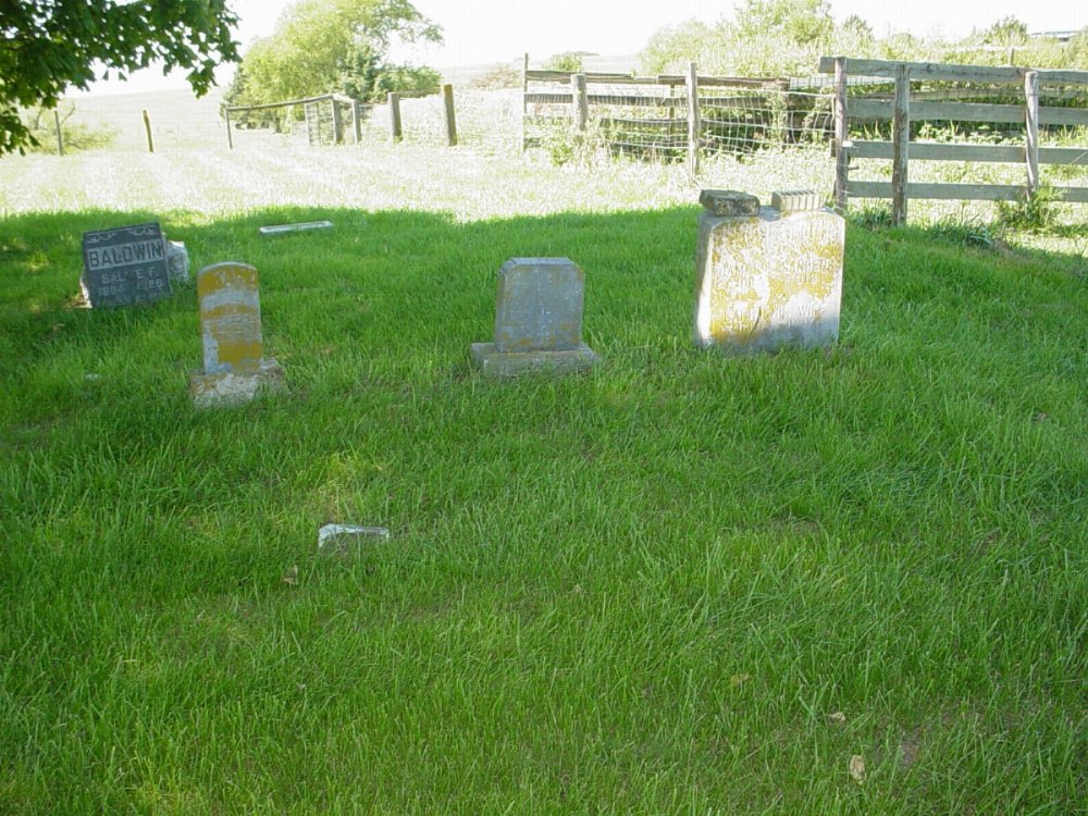  Whittington Allen Cemetery Headstone Photo, Whittington Allen Cemetery, Callaway County genealogy